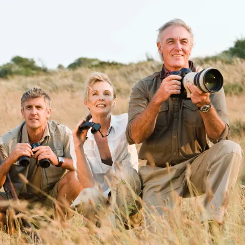 ETC Group SafariScapes