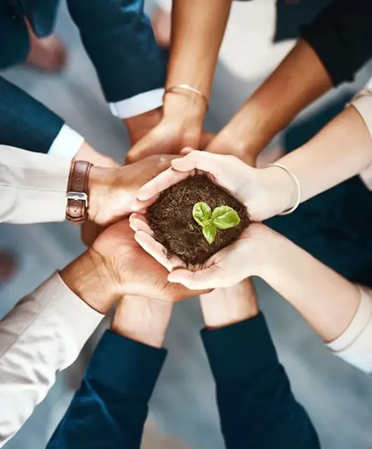 ETC Group Home Sustainability